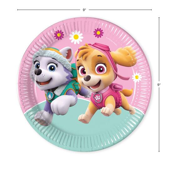 Paw Patrol Skye & Everest Party Kit